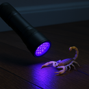 Exclusiva! Lanterna UV Profissional – A Nova Tendência Internacional Agora no Brasil